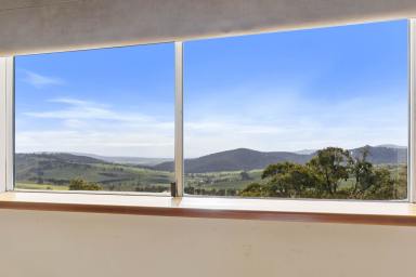 Acreage/Semi-rural For Sale - NSW - Sodwalls - 2790 - Discover Brindabella: Your All-Season Escape in Sodwalls  (Image 2)