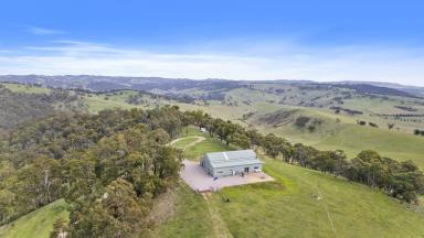 Acreage/Semi-rural For Sale - NSW - Sodwalls - 2790 - Discover Brindabella: Your All-Season Escape in Sodwalls  (Image 2)