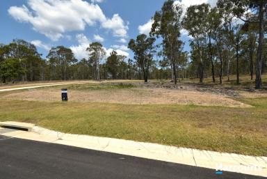 Residential Block For Sale - QLD - Apple Tree Creek - 4660 - JUST GOOD VALUE!  (Image 2)