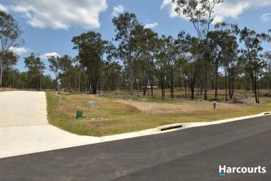 Residential Block For Sale - QLD - Apple Tree Creek - 4660 - JUST GOOD VALUE!  (Image 2)