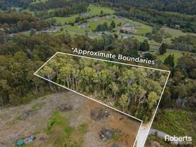 Residential Block For Sale - TAS - Tugrah - 7310 - Bushland Retreat - Just 10 Minutes from Devonport  (Image 2)