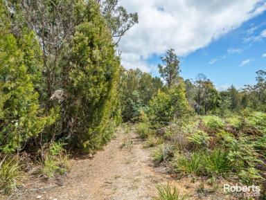 Residential Block For Sale - TAS - Tugrah - 7310 - Bushland Retreat - Just 10 Minutes from Devonport  (Image 2)