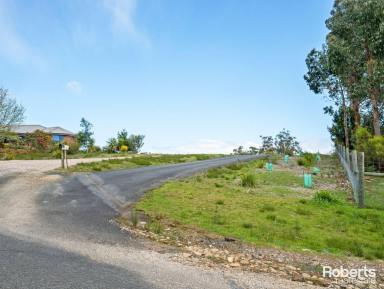 Residential Block For Sale - TAS - Tugrah - 7310 - Bushland Retreat - Just 10 Minutes from Devonport  (Image 2)