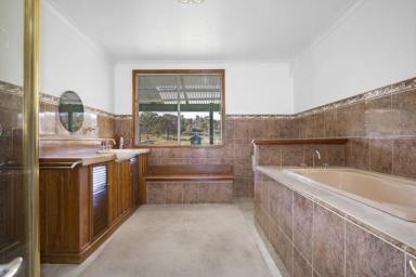Mixed Farming Sold - NSW - Guyra - 2365 - Spacious Rural Lifestyle Opportunity  (Image 2)