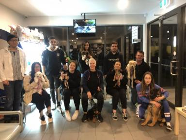 Business For Sale - VIC - Cheltenham - 3192 - Puppy and Dog Training School  (Image 2)