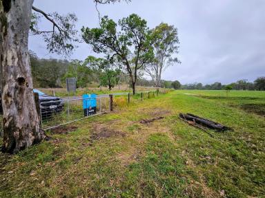 Livestock For Sale - QLD - Emu Creek - 4355 - Open cleared 9.56acre rural block, creek and waterhole  (Image 2)