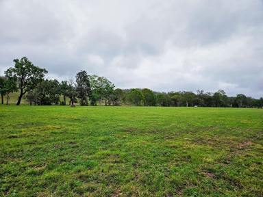 Livestock For Sale - QLD - Emu Creek - 4355 - Open cleared 9.56acre rural block, creek and waterhole  (Image 2)