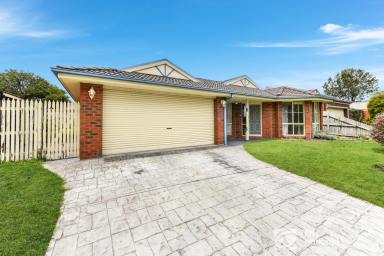 House For Sale - VIC - Cranbourne - 3977 - GREAT FAMILY HOME IN GREAT LOCATION  (Image 2)