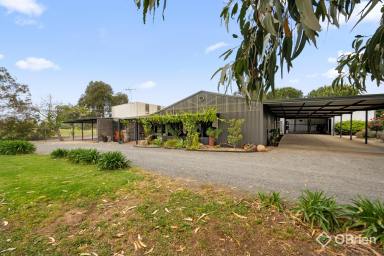 Acreage/Semi-rural Sold - VIC - Wangaratta South - 3678 - Lifestyle Home only 10 minutes from CBD  (Image 2)