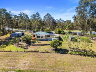 Acreage/Semi-rural Auction - QLD - Tamaree - 4570 - "AUCTION " 6.75 ACRES IN TAMAREE  (Image 2)