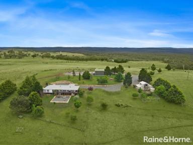 Acreage/Semi-rural For Sale - NSW - Tallong - 2579 - Alluring Countryside Retreat on 100 Acres  (Image 2)