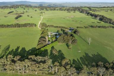 Mixed Farming For Sale - VIC - Ruffy - 3666 - "Arrabri"  (Image 2)