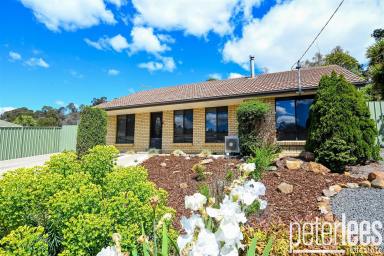 House For Sale - TAS - Waverley - 7250 - Perfectly Charming First Home or Ideal Downsizer.  (Image 2)