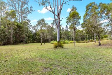 House Leased - QLD - Traveston - 4570 - For the minimalists who enjoy simplicity and outdoor living  (Image 2)