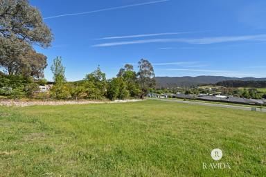 Residential Block For Sale - VIC - Myrtleford - 3737 - SPECTACULAR VIEWS  (Image 2)