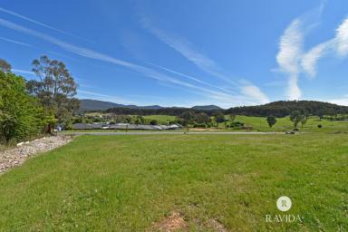 Residential Block For Sale - VIC - Myrtleford - 3737 - SPECTACULAR VIEWS  (Image 2)