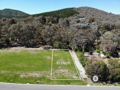 Residential Block For Sale - VIC - Myrtleford - 3737 - SPECTACULAR VIEWS  (Image 2)