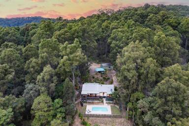 House For Sale - QLD - Federal - 4568 - Hinterland Home, Spectacular Views  (Image 2)