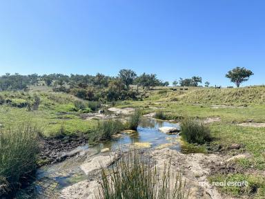 Mixed Farming For Sale - NSW - Warialda - 2402 - FAIRFIELD  (Image 2)