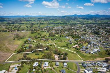 House For Sale - NSW - Bega - 2550 - STUNNING LIFESTYLE OPPORTUNITY - MASSIVE DEVELOPMENT POTENTIAL - MINUTES TO TOWN  (Image 2)