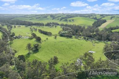 Other (Rural) For Sale - VIC - Athlone - 3818 - A Valuable Country Estate  (Image 2)