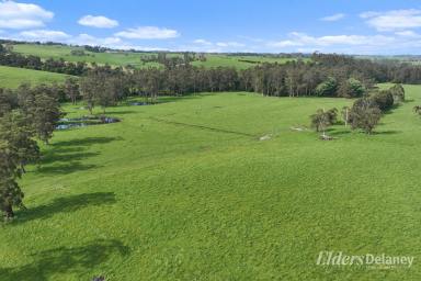 Other (Rural) For Sale - VIC - Athlone - 3818 - A Valuable Country Estate  (Image 2)