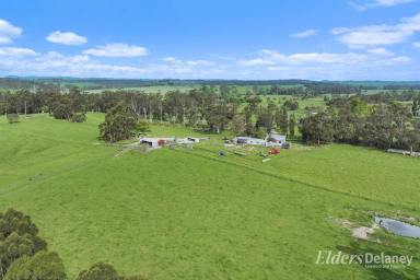 Other (Rural) For Sale - VIC - Athlone - 3818 - A Valuable Country Estate  (Image 2)