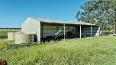 Mixed Farming For Sale - NSW - Dubbo - 2830 - Burranah, 150R Mogriguy Forest Road, Dubbo NSW  (Image 2)