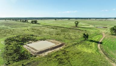 Mixed Farming For Sale - NSW - Dubbo - 2830 - Burranah, 150R Mogriguy Forest Road, Dubbo NSW  (Image 2)