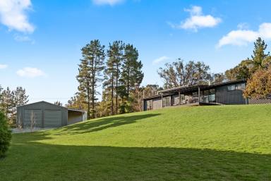 Lifestyle For Sale - NSW - Goulburn - 2580 - A class above!  (Image 2)