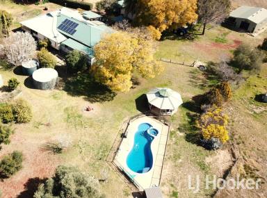 Acreage/Semi-rural Sold - NSW - Inverell - 2360 - 'Alpha' - An Ideal Hobby Farm  (Image 2)