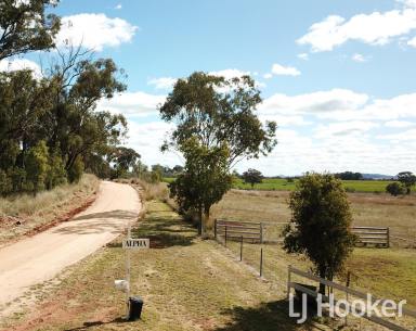 Acreage/Semi-rural Sold - NSW - Inverell - 2360 - 'Alpha' - An Ideal Hobby Farm  (Image 2)