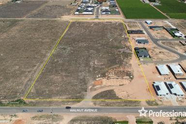 Residential Block For Sale - VIC - Mildura - 3500 - Exceptional Residential Development Opportunity - 4.02Ha  (Image 2)