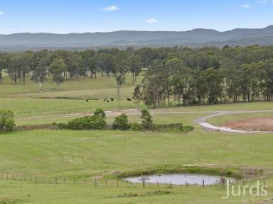 Lifestyle For Sale - NSW - Millfield - 2325 - Stunning Sustainable Home with Breathtaking Views  (Image 2)