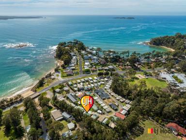 House For Sale - NSW - Sunshine Bay - 2536 - 2 Bedroom Permanent living Villa for the Over 55's across the road from Caseys Beach....  (Image 2)