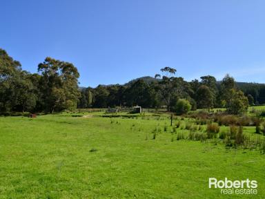 House For Sale - TAS - Ellendale - 7140 - Country Living at it's Best!  (Image 2)