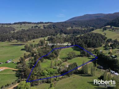 House For Sale - TAS - Ellendale - 7140 - Country Living at it's Best!  (Image 2)