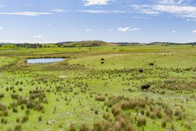 Lifestyle Auction - NSW - Goulburn - 2580 - 100 Acres Ready For A House!  (Image 2)