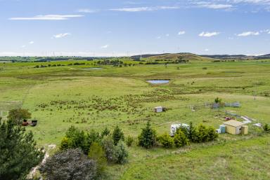 Lifestyle Auction - NSW - Goulburn - 2580 - 100 Acres Ready For A House!  (Image 2)