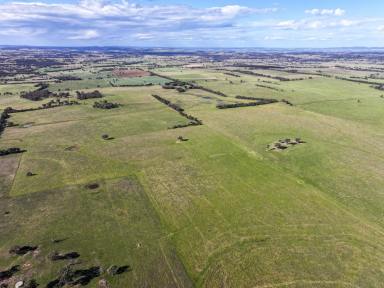 Mixed Farming For Sale - NSW - Baldry - 2867 - Red Soil and Rainfall  (Image 2)