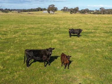 Mixed Farming For Sale - NSW - Baldry - 2867 - Red Soil and Rainfall  (Image 2)