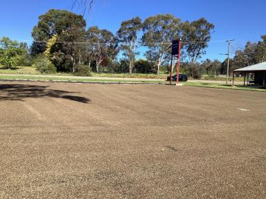 Residential Block For Sale - NSW - Young - 2594 - Premier Commercial/Industrial Gateway Site into Young, NSW DA Approved for Vehicle Sales & Hire!  (Image 2)