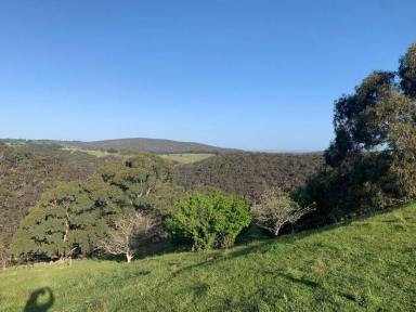 House For Sale - VIC - Toolern Vale - 3337 - Architect designed home with stunning views and more than 100 acres of unspoiled bushland, 40 minutes from Melbourne CBD  (Image 2)