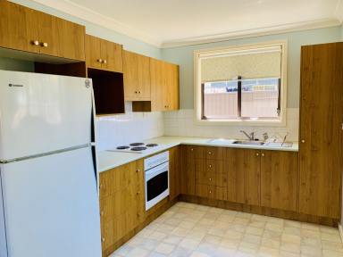 Flat For Lease - NSW - Lithgow - 2790 - 1 Bedroom Flat  (Image 2)