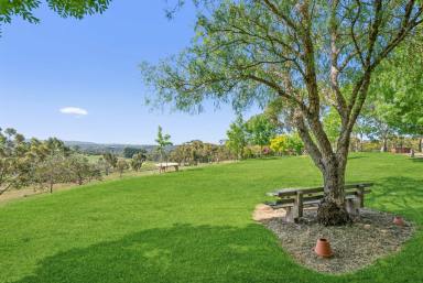 Acreage/Semi-rural For Sale - SA - Hahndorf - 5245 - A place where time stands still...  (Image 2)