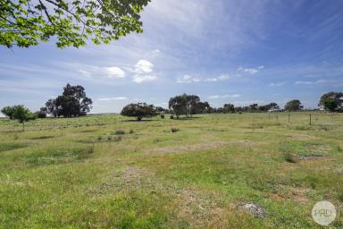 Residential Block For Sale - VIC - Clunes - 3370 - Buy Today, Build Tomorrow  (Image 2)