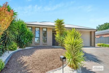 House For Sale - SA - Gawler East - 5118 - UNDER CONTRACT BY CHRISTOPHER HURST  (Image 2)