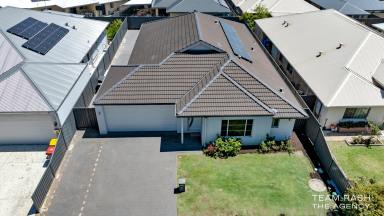 House For Sale - WA - Seville Grove - 6112 - Stylish , Spacious & Perfect Family Home !!  (Image 2)