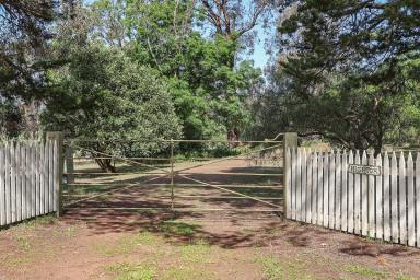 Lifestyle For Sale - VIC - Lismore - 3324 - GRAND STATELY SOUTH WEST VICTORIAN HOMESTEAD  (Image 2)