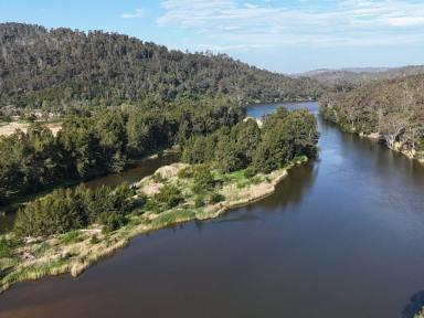 Acreage/Semi-rural For Sale - NSW - Bega - 2550 - WATERFRONT PARADISE ON 50 ACRES  (Image 2)